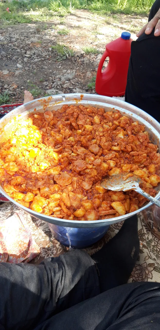 اغذیه سرای رضا