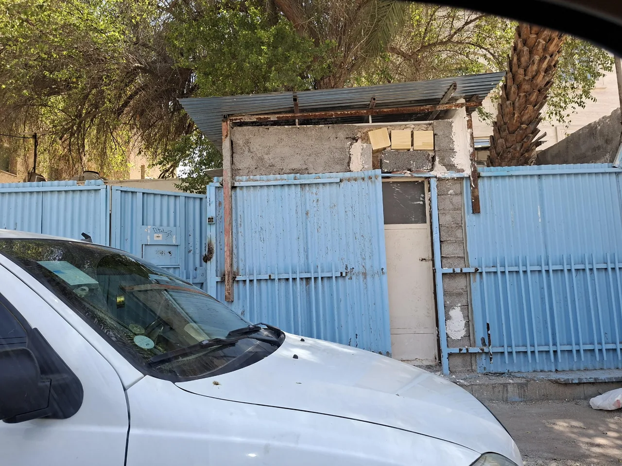 کمپ ققنوس