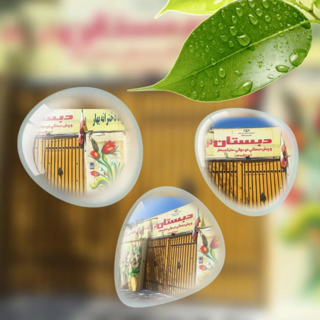 دبستان بهار - تصویر 5