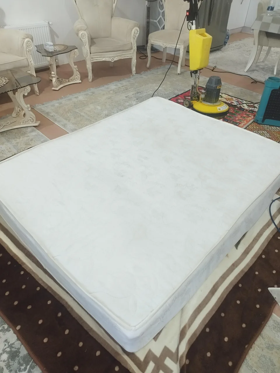مبل شویی گل رز - تصویر 4