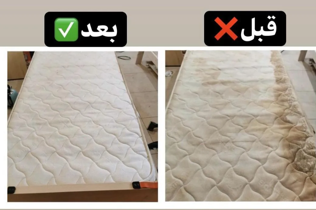 دفتر قالیشویی ماه شور اردبیل - تصویر 3