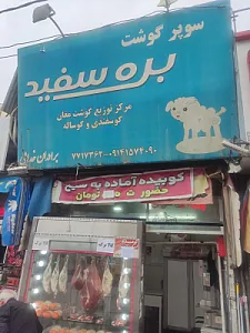 قصابی بره سفید