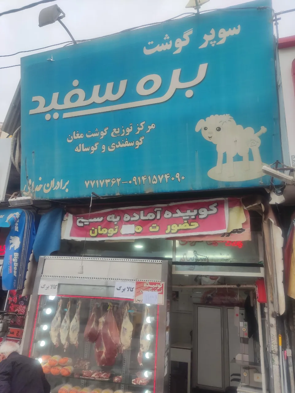 قصابی بره سفید