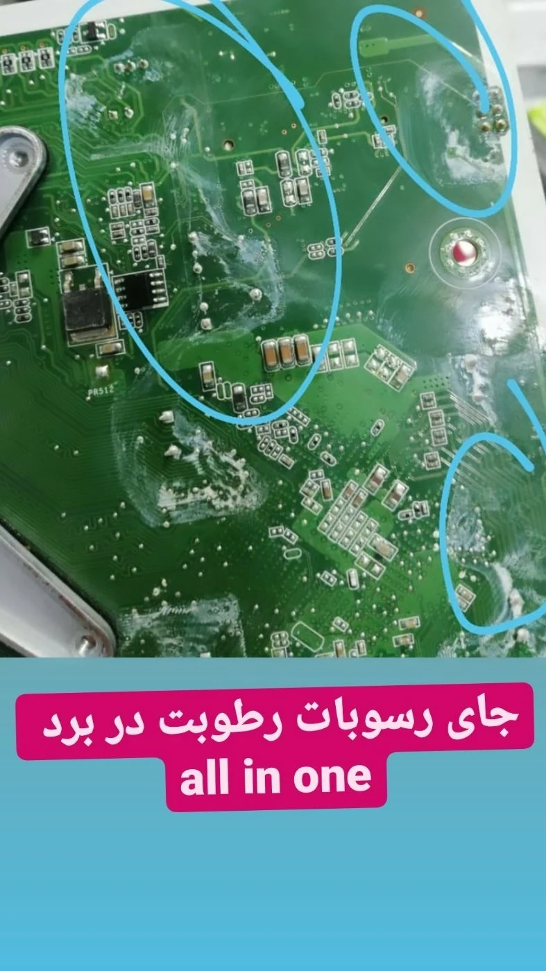 کلبه دیجیتال دارکوب - تصویر 5