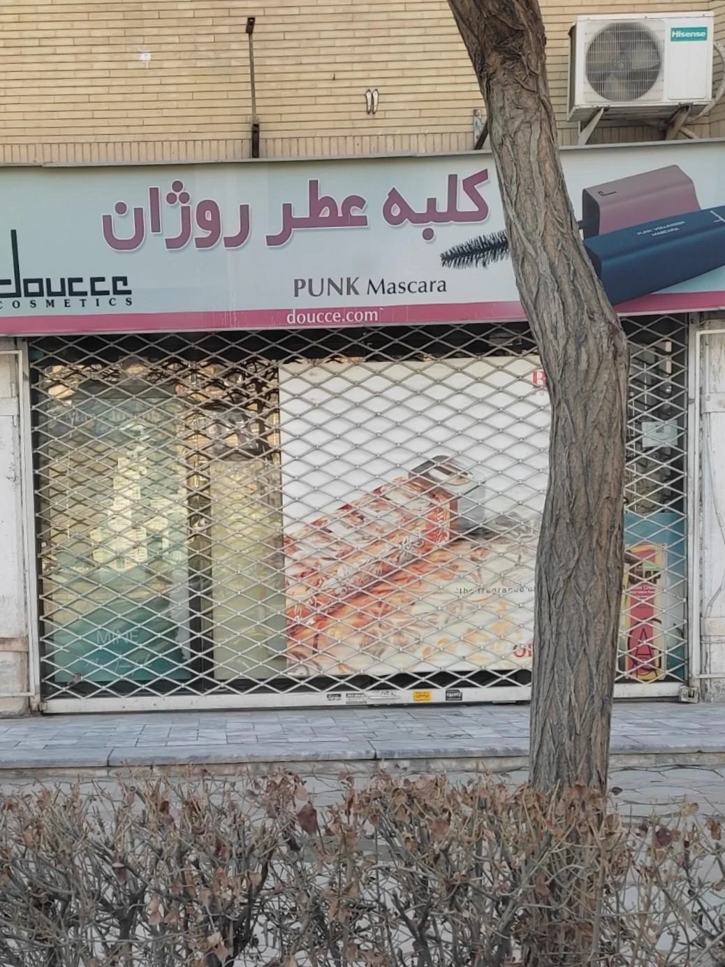 دکتر پرفیوم - پزشک عمومی در مشهد - تصویر 3