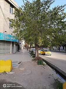 باشگاه ورزشی کودک تک