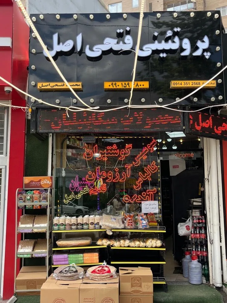 پروتئینی فتحی اصل - تصویر 3