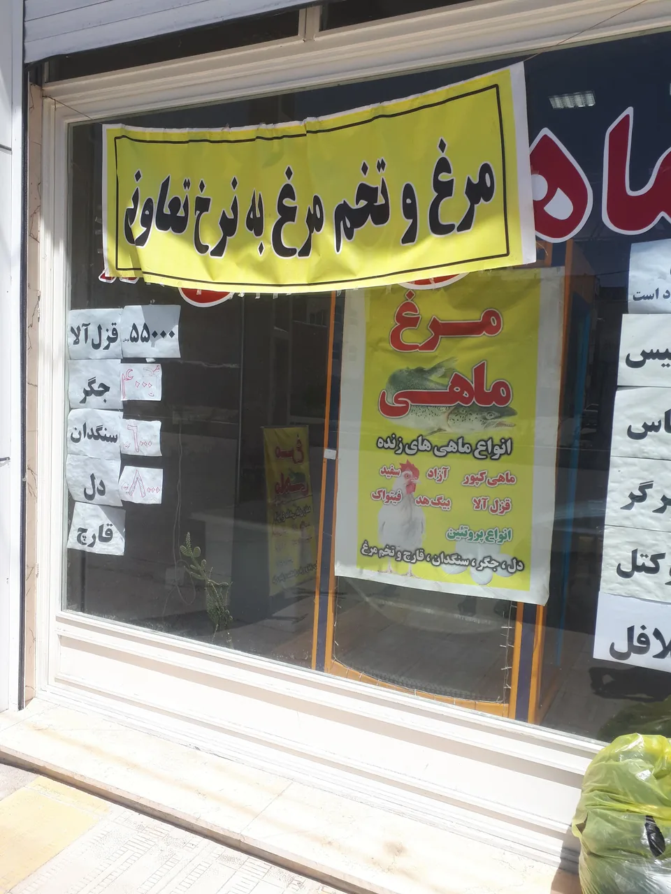 مرغ و ماهی خزر - تصویر 6