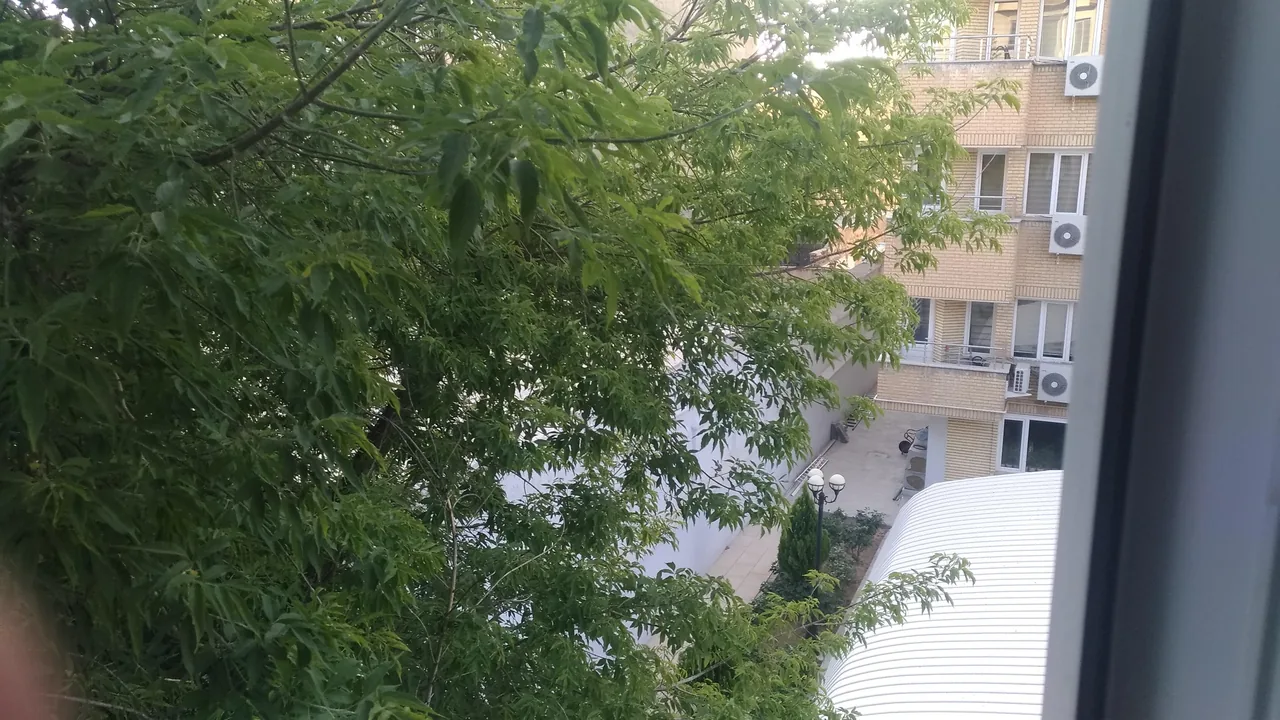 مهمانسرای ایران - تصویر 2