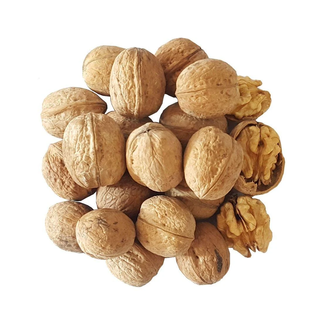 آجیل و خشکبار رخشی