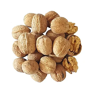 آجیل و خشکبار رخشی