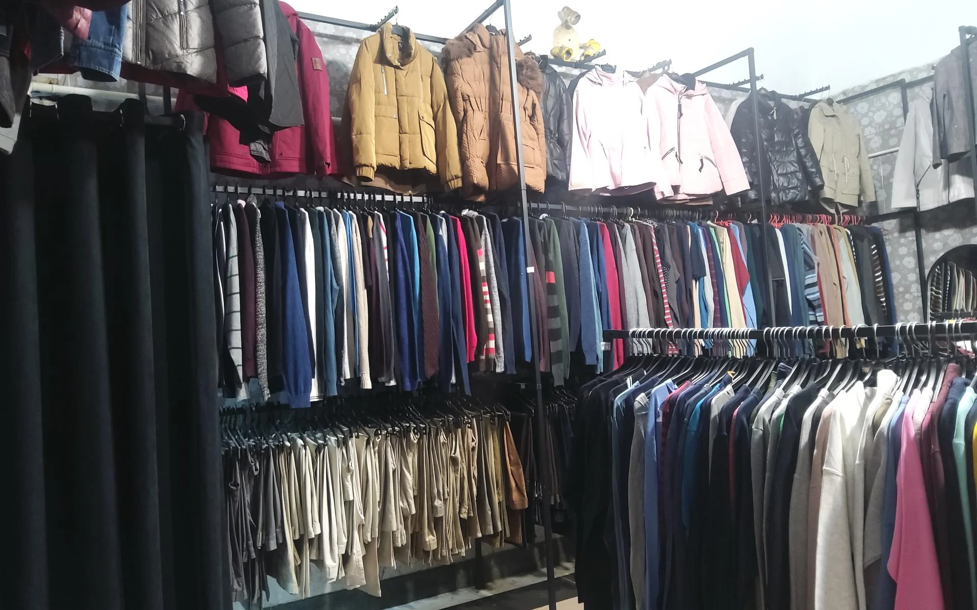 گالری ماوی