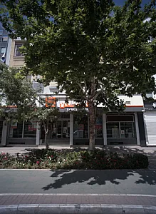 مطب دکتر سید مجید میرهاشمی