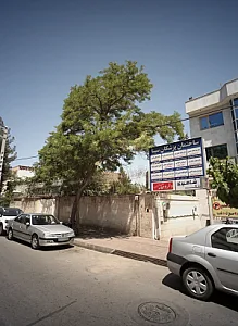 مطب دکتر لعیا شیرین زاده