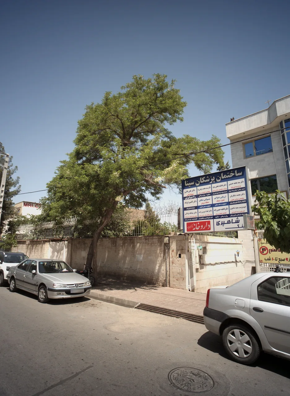مطب دکتر لعیا شیرین زاده