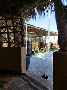 رستوران دیاکو