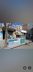 گالری نخل طلایی