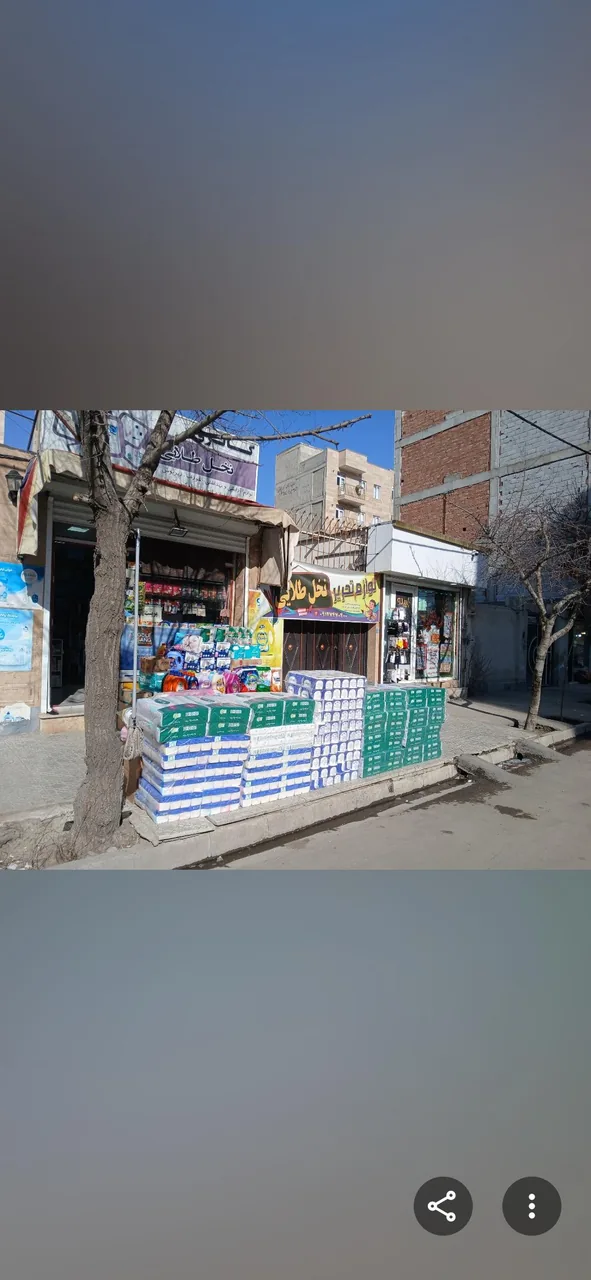 گالری نخل طلایی