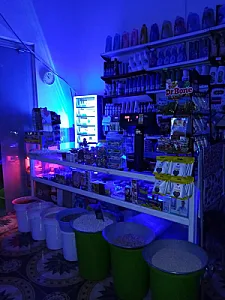 سوپر مارکت گلسرخ(علی قیاسی)