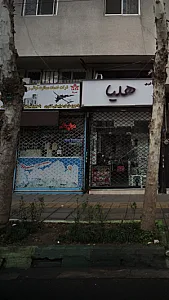 شرکت خدمات مسافرت هوائی و جهانگردی