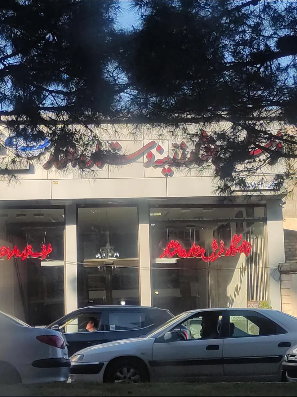 فرش ستاره افشار