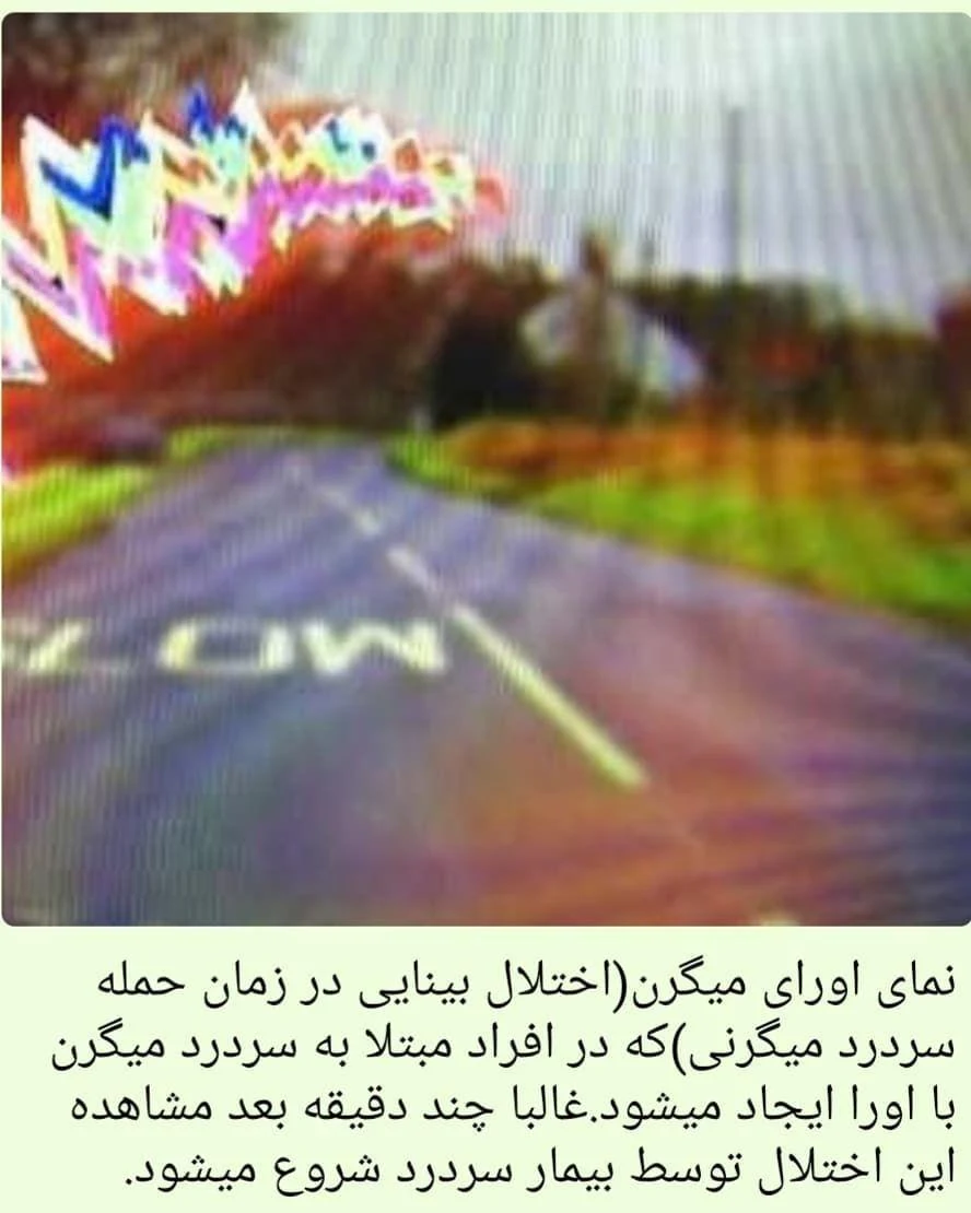 دکتر محمد شریعتی - تصویر 5