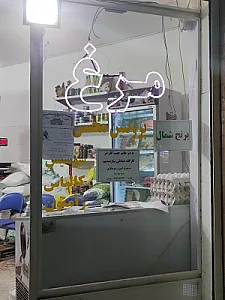 پروتئین محسن