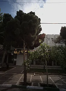 مطب دکتر ریحانه معدنی