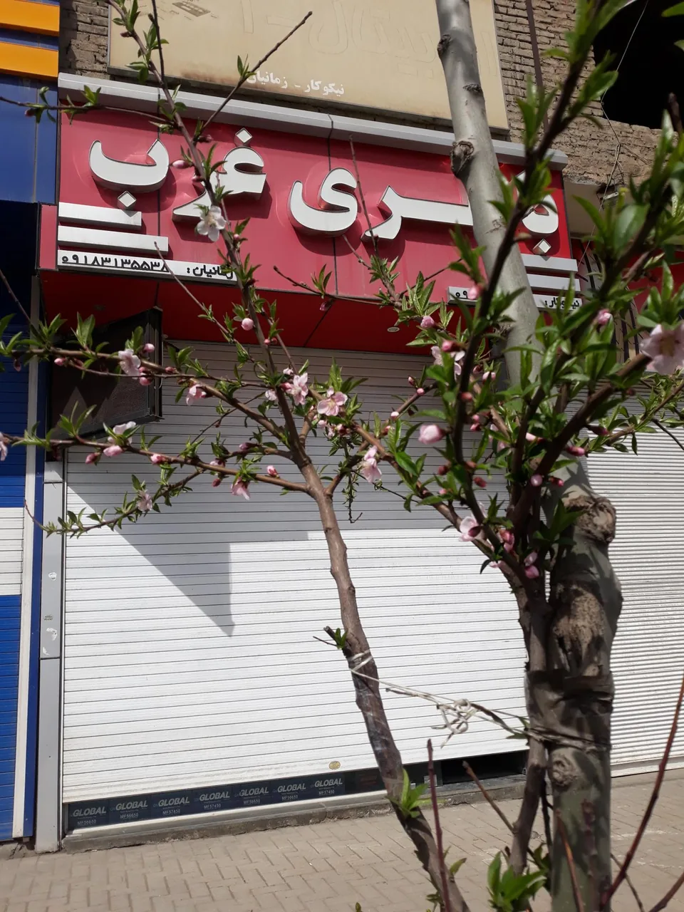 باطری فروشی غرب نیکوکار - تصویر 5