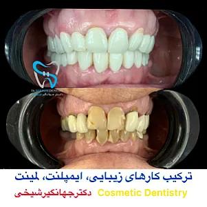 دکتر جهانگیر شیخی