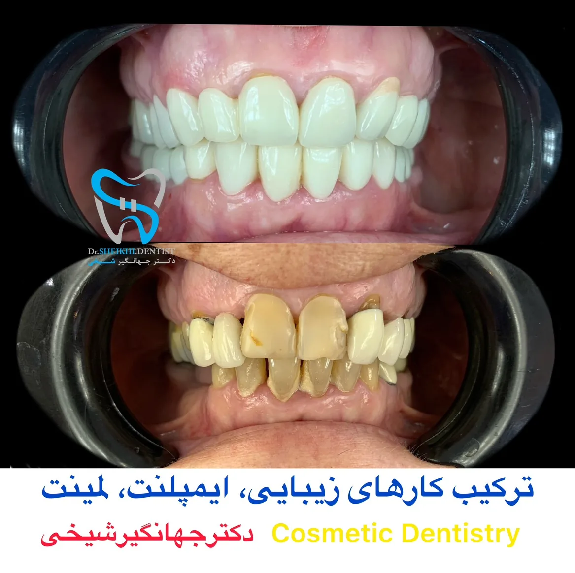 دکتر جهانگیر شیخی