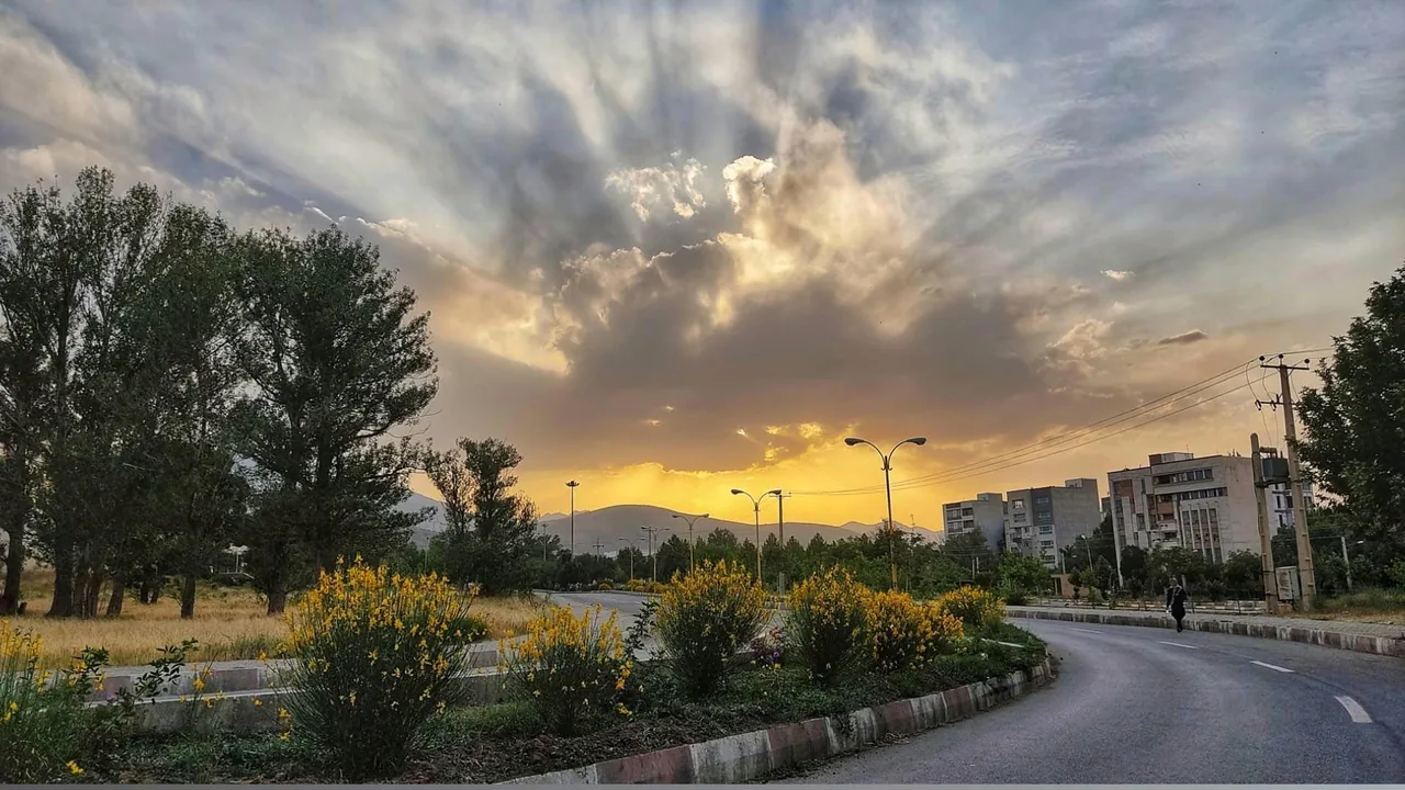 دانشکده ادبیات و علوم انسانی - تصویر 5