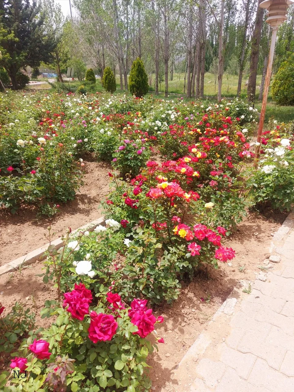 دانشکده کشاورزی - تصویر 3