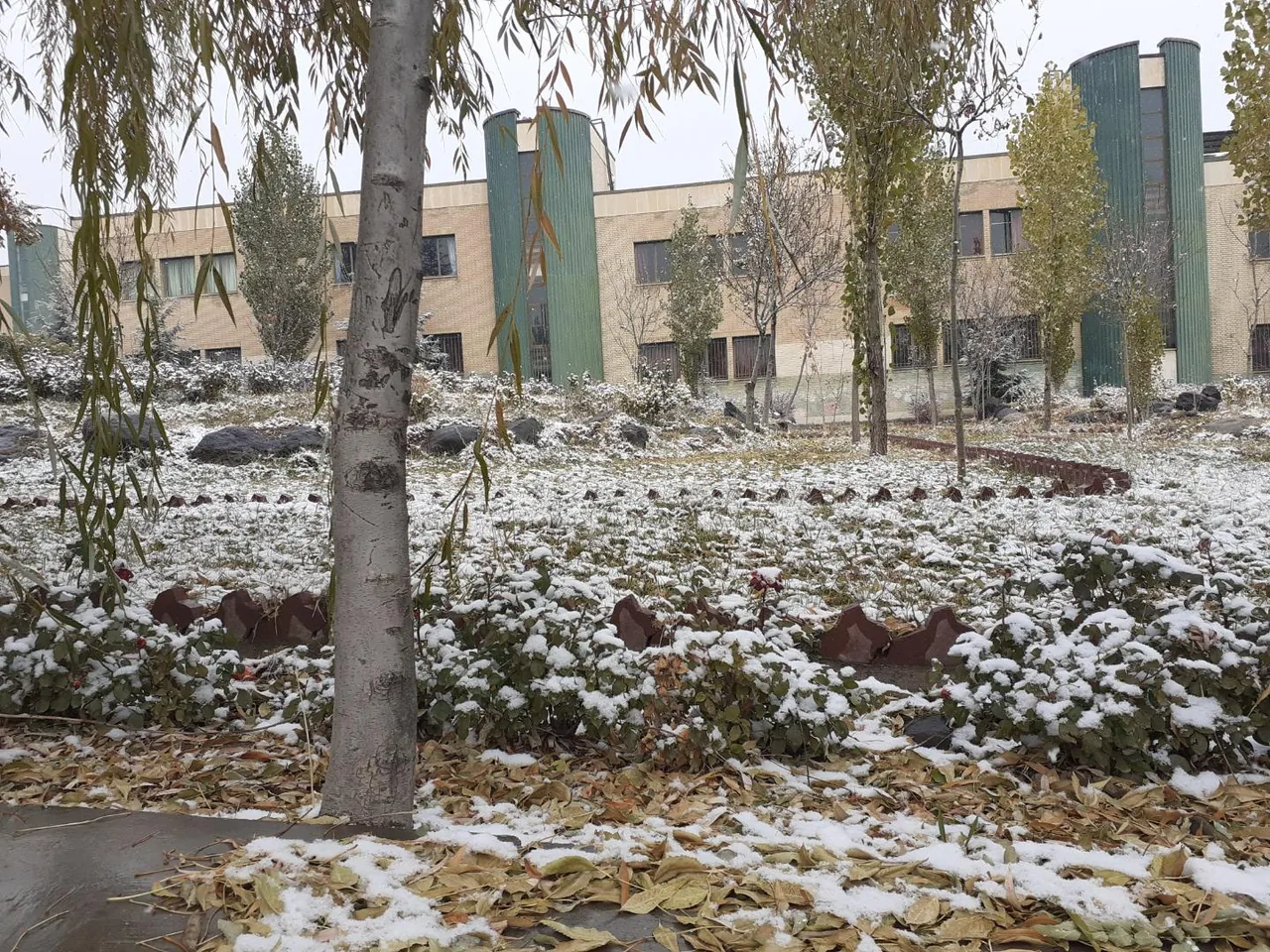 دانشکده مهندسی - تصویر 2