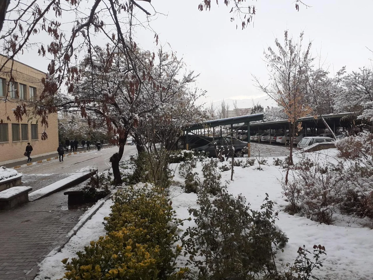 دانشکده مهندسی - تصویر 3