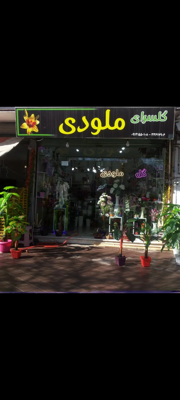 گلسرای ملودی