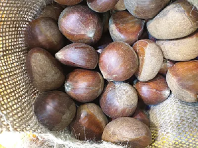 هایپر میوه موثق