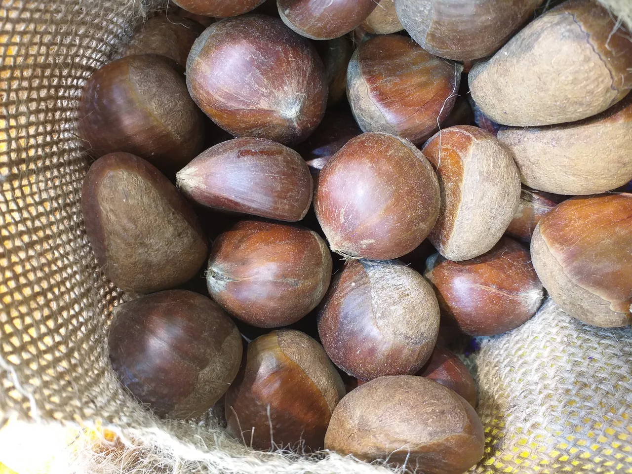 هایپر میوه موثق