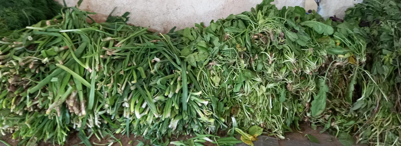 میوه و صیفی‌جات پدر - تصویر 2