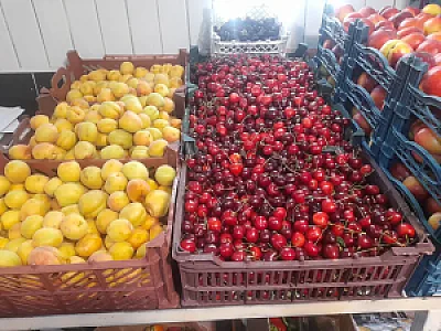 میوه فرشی میرزاپور