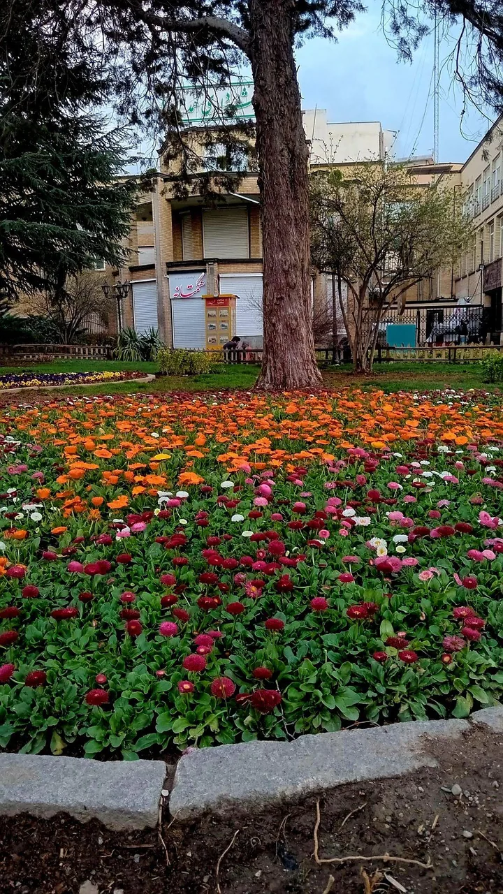 روزنامه هگمتانه