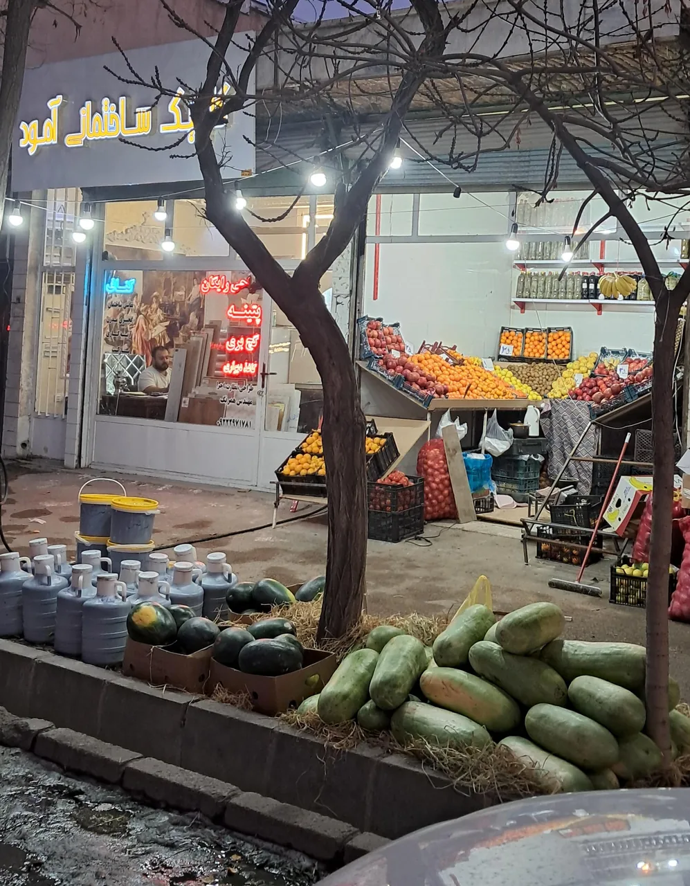 سوپر میوه و لیموسرای ترش و شیرین - تصویر 2