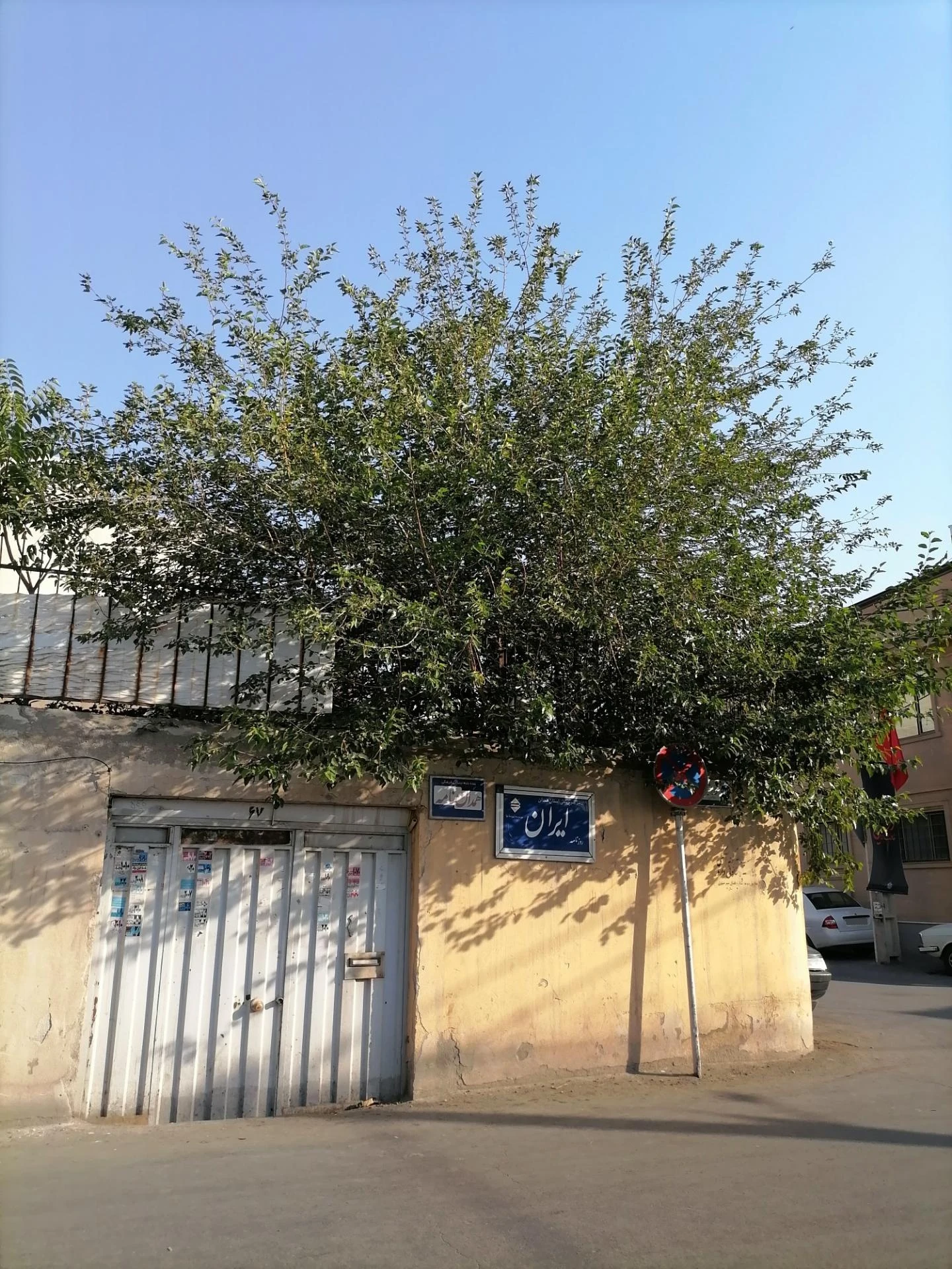 بنیاد علمی و فرهنگی بوعلی سینا - فرهنگسرا و مرکز فرهنگی در همدان - تصویر 2