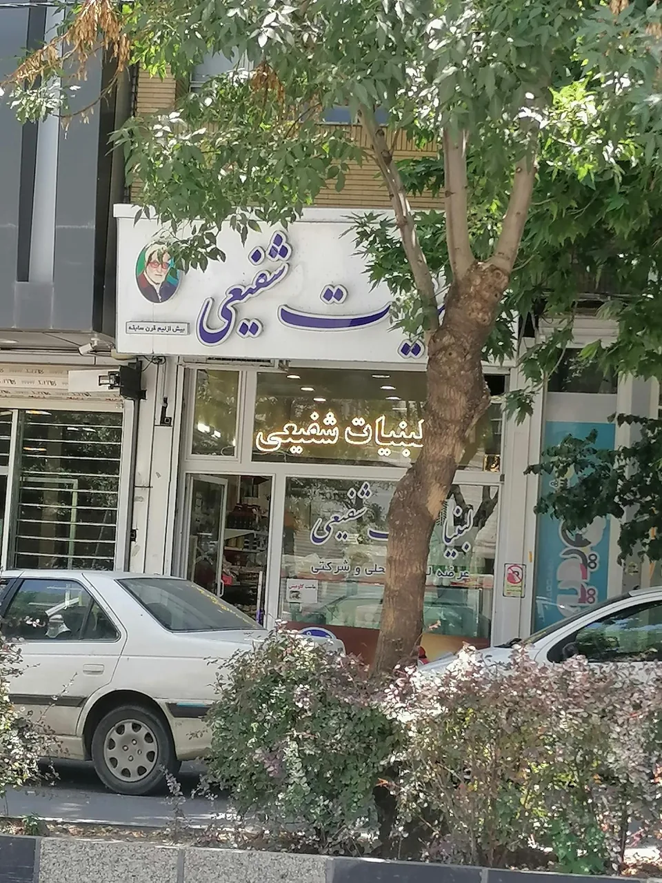 لبنیات شفیعی