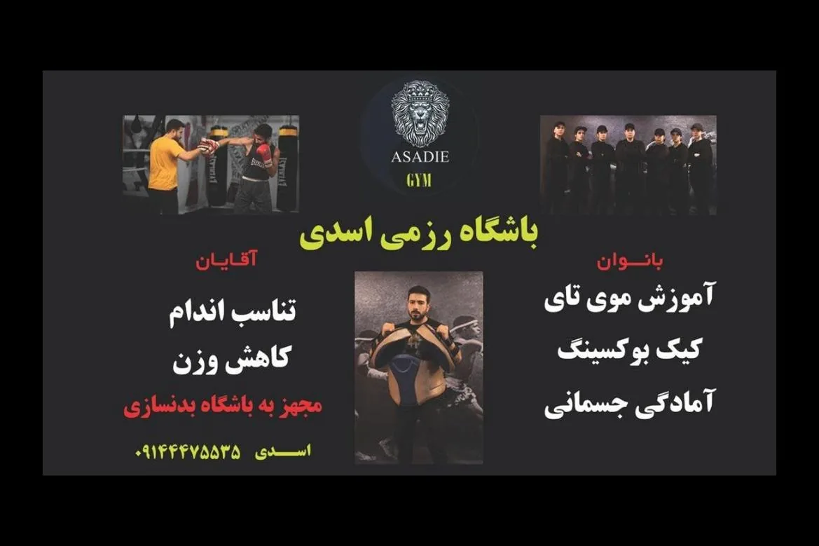 باشگاه موی تای و کیک بوکسینگ اسدی - تصویر 2