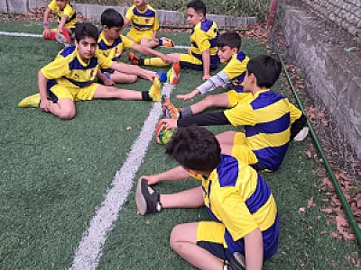 آکادمی دلفین