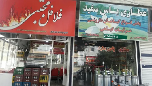 فلافل مجتبی