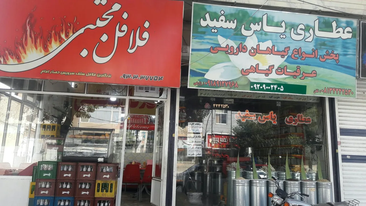 فلافل مجتبی
