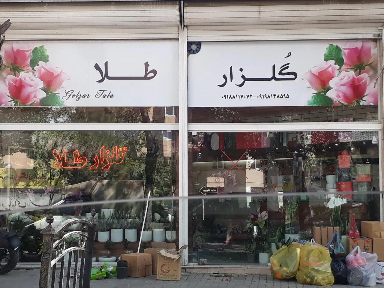 گل فروشی گلزار طلا