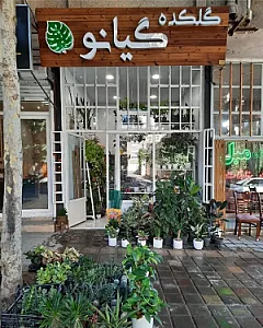 گلکده گیانو